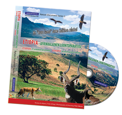 birdvision_etiopia