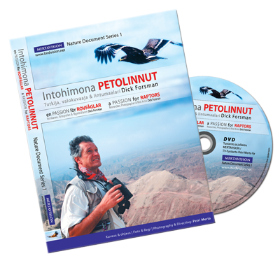 birdvision_forsman