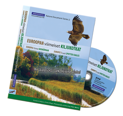birdvision_kiljukotkat